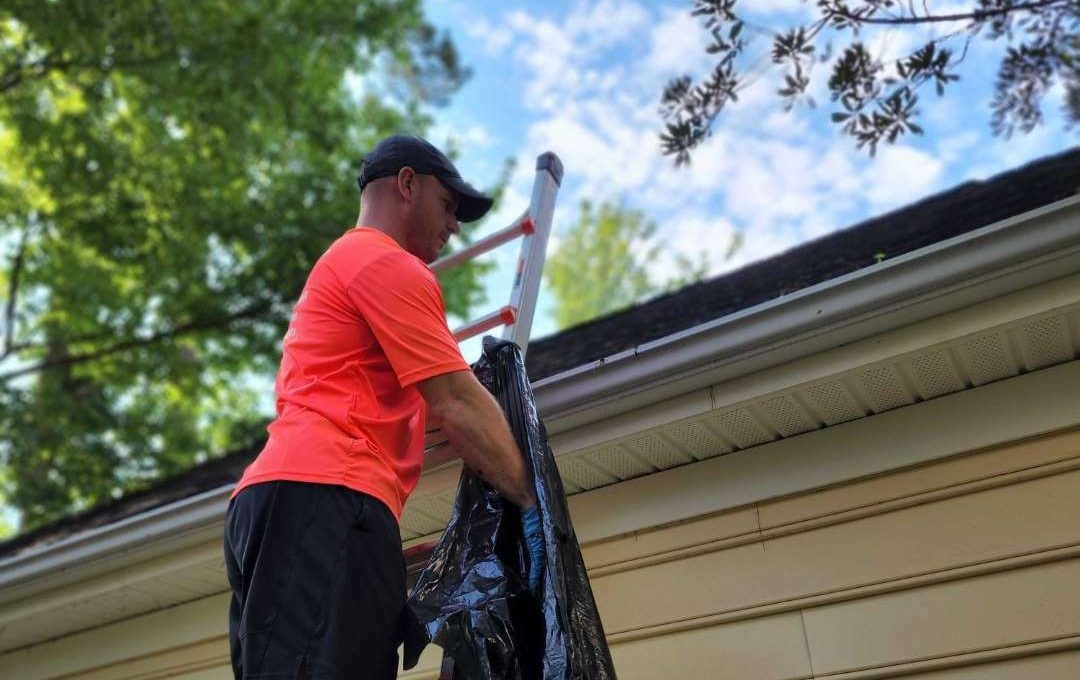 Gutter Cleaning Services